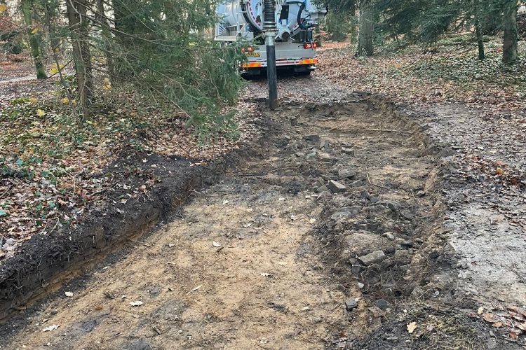 Boomwortels vrij zuigen in Nijmegen-03